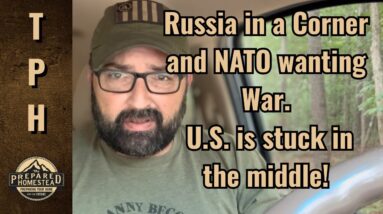 Russia in a corner. NATO wanting War. U.S. in the middle.