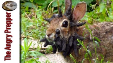 What Is Going On With This Situation?