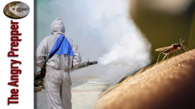 You Will Not Believe What They Are Doing Again…