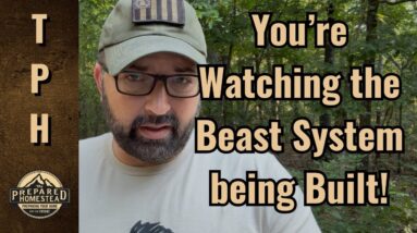 You’re Watching the Beast System being Built!
