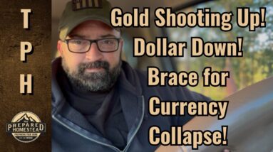 Gold Shooting Up! Dollar Down! Brace for Currency Collapse!