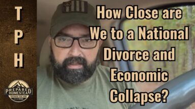 How Close are We to a National Divorce and Economic Collapse?