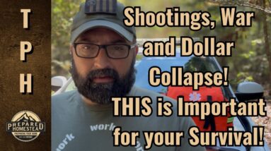 Shootings, War and Dollar Collapse! THIS IS Important for your Survival!