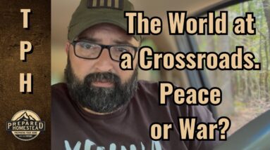 The World at a Crossroads. Peace or War?