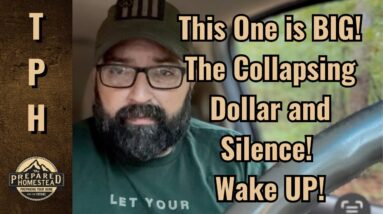 This One is BIG! The Collapsing Dollar and Silence! Wake UP!