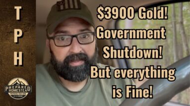 $3900 Gold! Government Shutdown! But everything is fine!