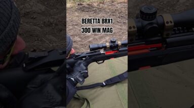 Beretta BRX1 Straight Pull Action 300 WIN MAG 💥 Suppressed w/ @SilencerCo OMEGA 300 #brx1