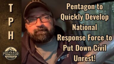 Pentagon to quickly develop Nation Response Force to put down Civil Unrest!