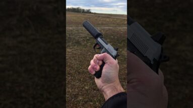 Movie Quiet Gun: 20X Bobcat + Disavowed MORTEM 💥🤫