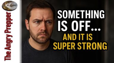 Something Is Off….