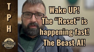 Wake UP! The “Reset” is happening fast! The Beast AI!