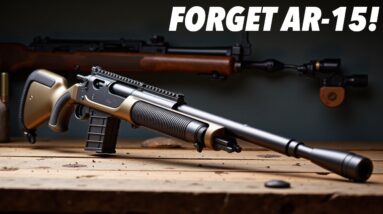 Why EVERY American NEEDS This One Rifle INSTEAD of AR-15?