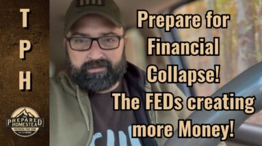 Prepare for Financial Collapse! The FEDs creating more Money!