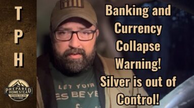 Banking and Currency Collapse Warning! Silver is out of Control!