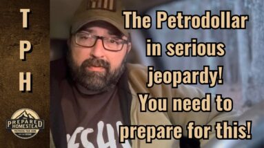 The Petrodollar in serious jeopardy! You need prepare for this!