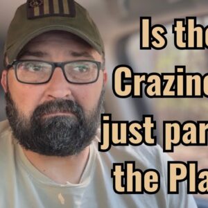 Is the Craziness just part of the Plan?