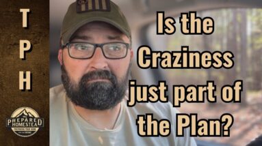 Is the Craziness just part of the Plan?