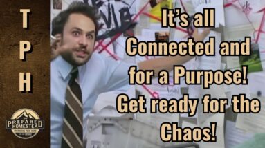 It’s all Connected and for a Purpose! Get ready for the Chaos!