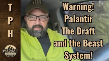 Warning! Palantir, the Draft and the Beast System!