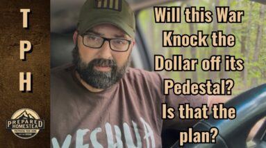 Will this War Knock the Dollar off its Pedestal? Is that the plan?