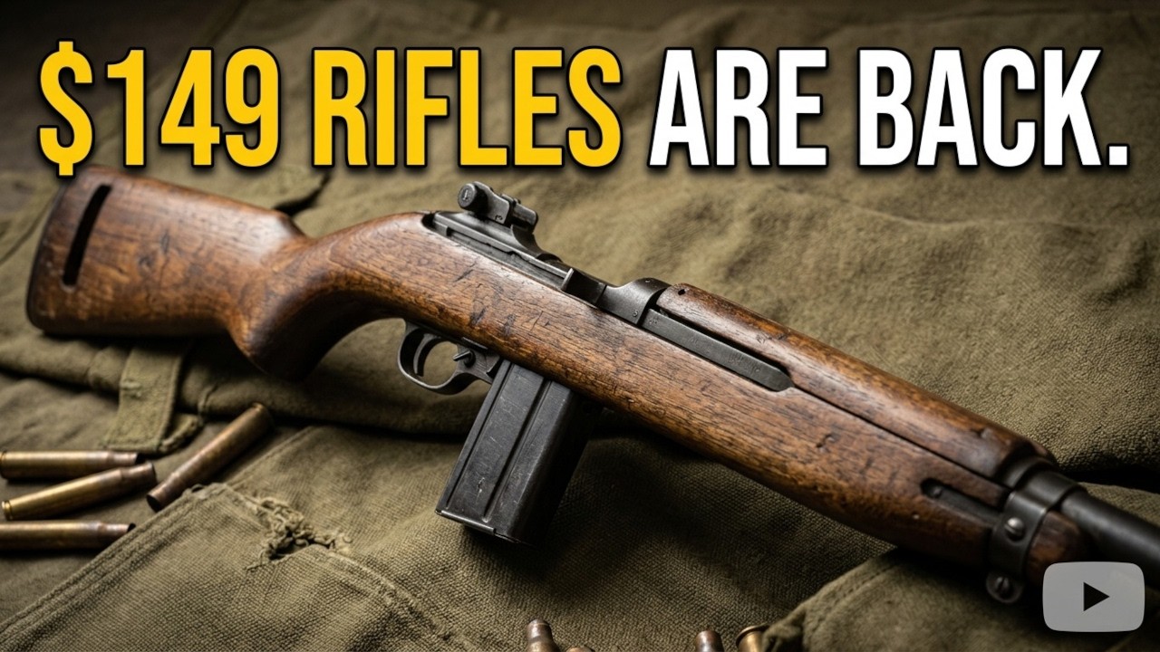 Top 10 Affordable Military Surplus Rifles For Civilians Under $250!