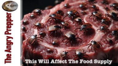 Another Attack On Our Food Supplies…