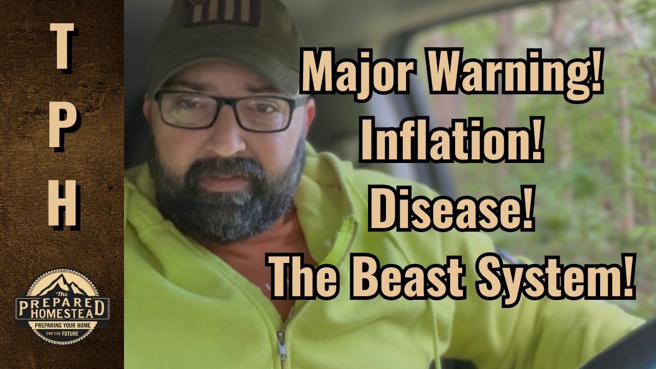 Crucial Alert: Inflation, Disease, And The Emergence Of The Beast System