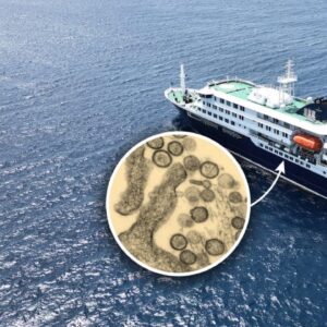 New Hantavirus Update... This Is Getting Wild!
