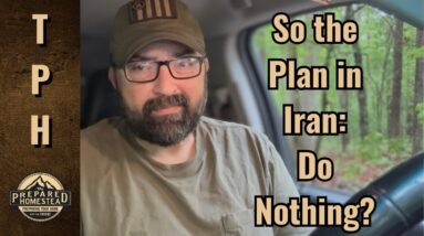 So the Plan in Iran: Do Nothing?