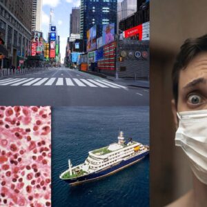 The Truth Behind The Hantavirus & What's Really Going On...