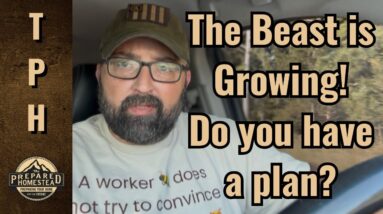 The Beast is Growing! Do you have a plan?
