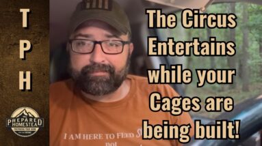 The Circus Entertains while your Cages are being built!