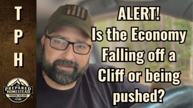 ALERT! Is the Economy Falling off a Cliff or being pushed?
