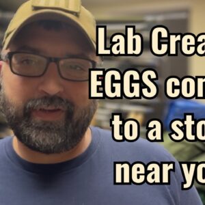 Lab created EGGS coming to a store near you!
