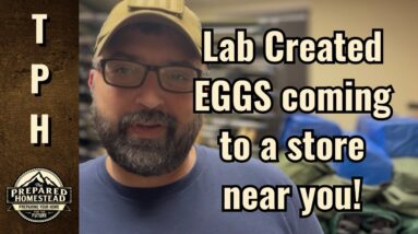 Lab created EGGS coming to a store near you!