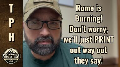 Rome is Burning! Don’t worry, we’ll just PRINT our way out they say!