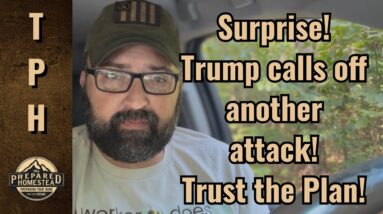 Surprise! Trump calls off another attack! Trust the Plan!