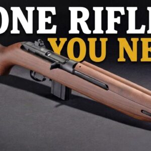 The Best SCOUT Rifle Only Costs $350!
