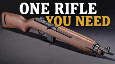 The Best SCOUT Rifle Only Costs $350!
